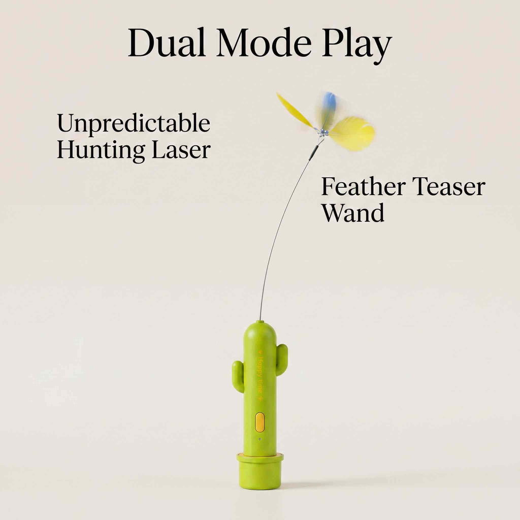 Evoset™ Smart Cactus Happy Time Toy 🐾