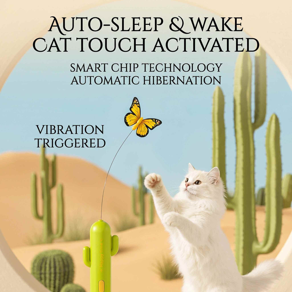 Evoset™ Smart Cactus Happy Time Toy 🐾