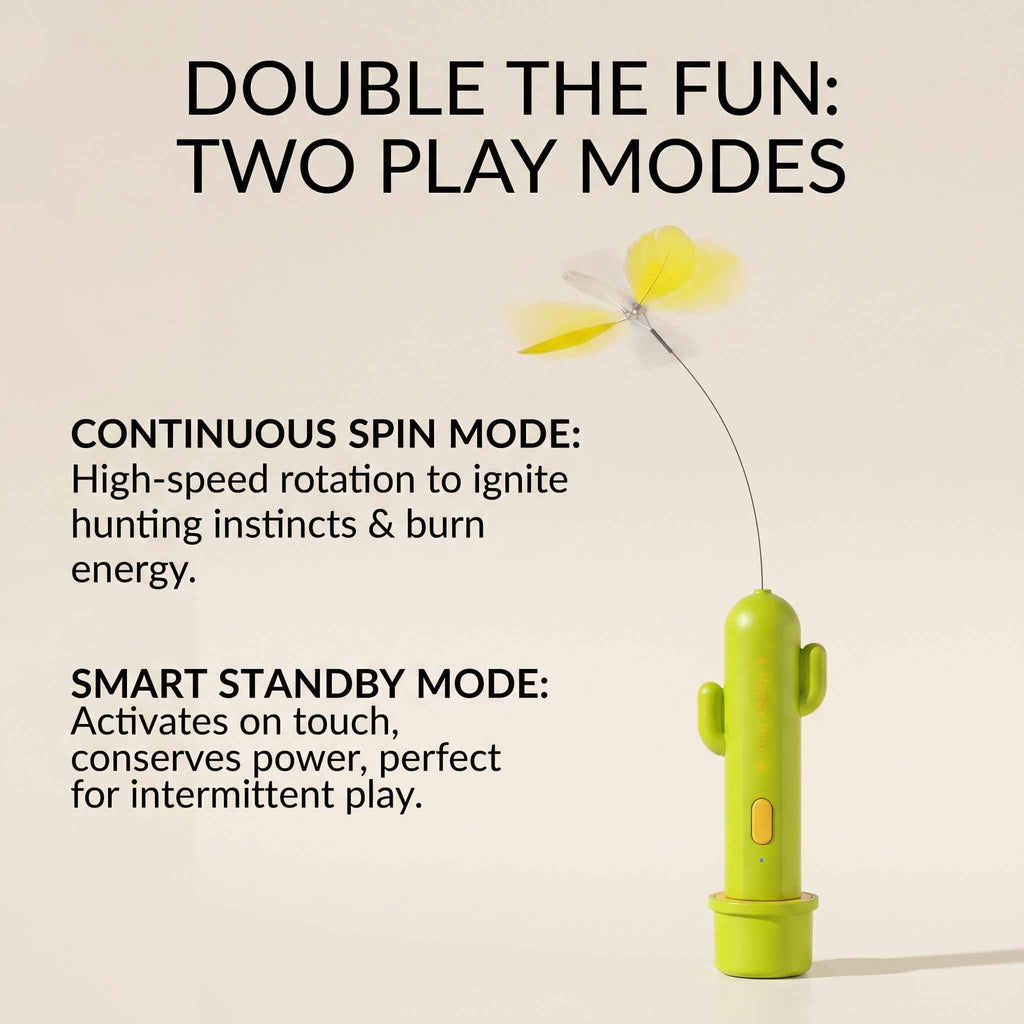 Evoset™ Smart Cactus Happy Time Toy 🐾
