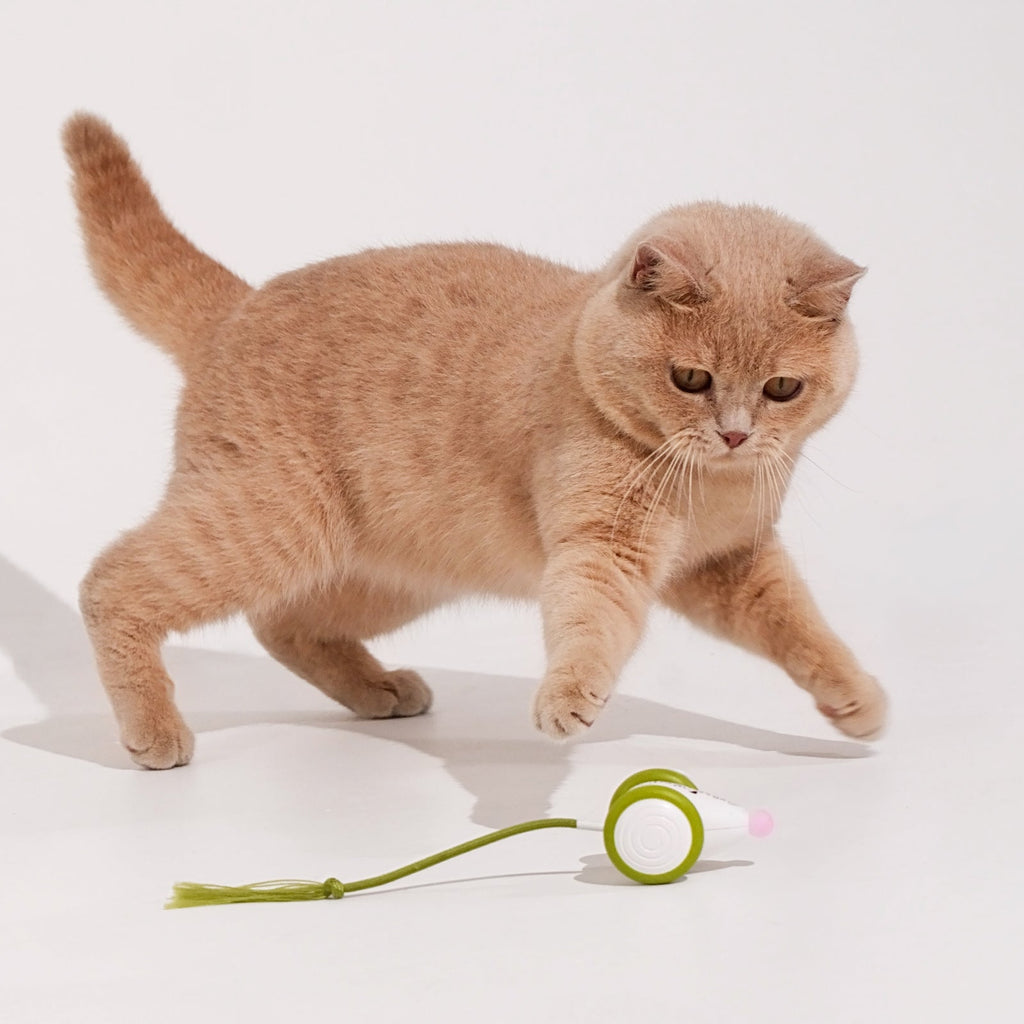 Wicked Mouse Neo